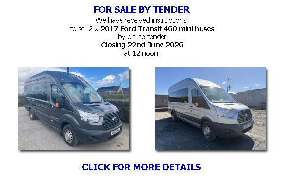 Mini bus